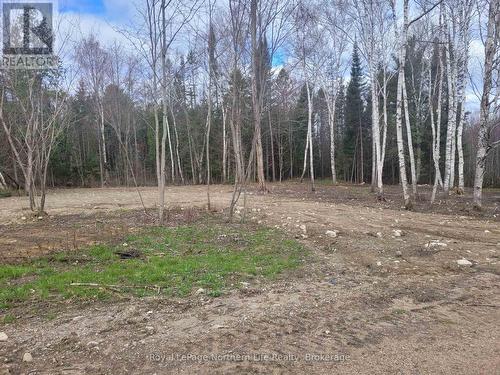 Lot 21 Con 13 Pt 3, Papineau-Cameron (Papineau Cameron), ON 