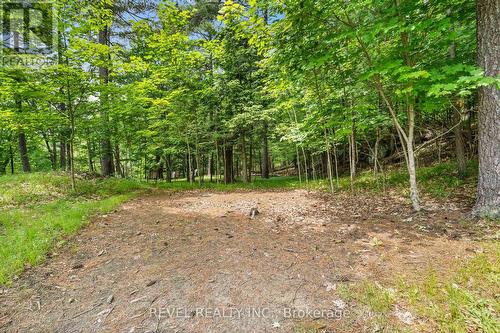 49 Sleepy Hollow Road, Rideau Lakes, ON - Outdoor