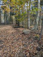 0 118 HIGHWAY E  Bracebridge (Draper), ON P1L 1X1