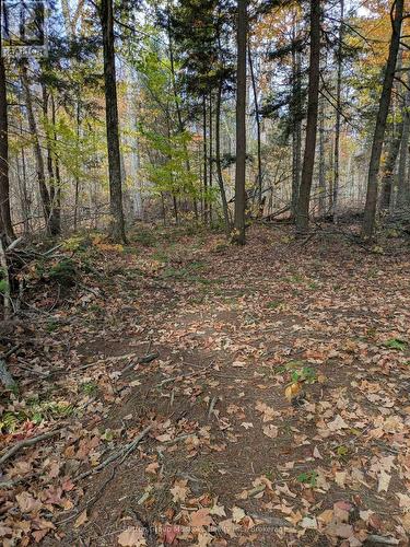 0 118 Highway E, Bracebridge (Draper), ON 