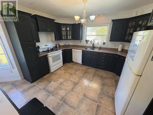 379 Main Street, Northern Arm, NL - Indoor Photo Showing Kitchen With Double Sink