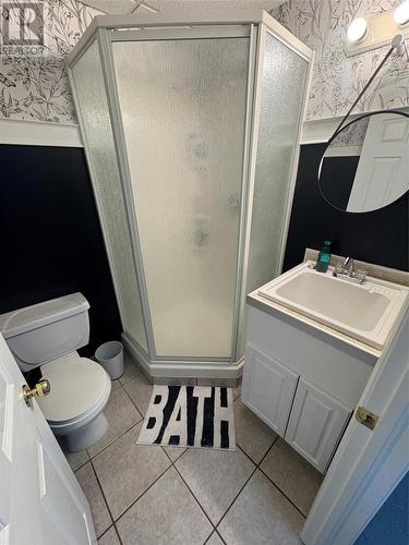 379 Main Street, Northern Arm, NL - Indoor Photo Showing Bathroom
