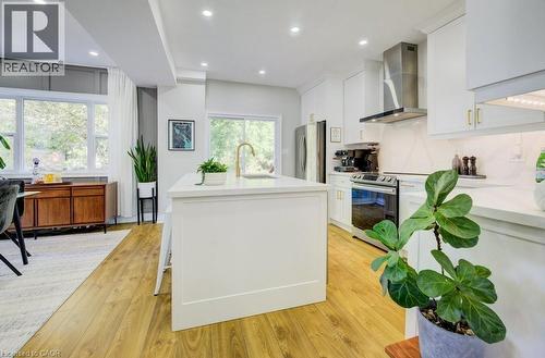 160 Homewood Avenue, Kitchener, ON - Indoor Photo Showing Kitchen