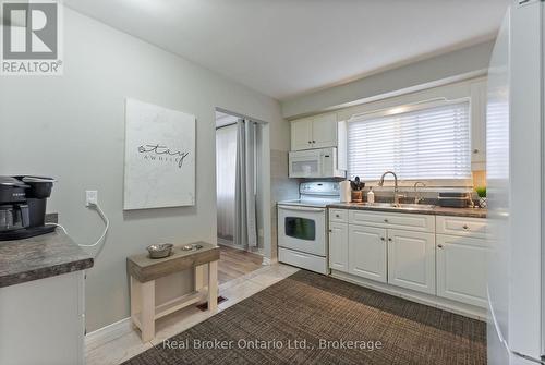387 Lee Avenue, Waterloo, ON - Indoor Photo Showing Kitchen With Double Sink