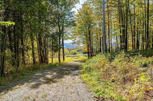 Patio - 2146 Ch. Nicholas-Austin, Austin, QC 