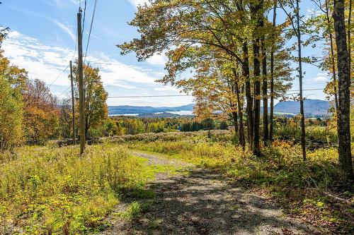 Patio - 2146 Ch. Nicholas-Austin, Austin, QC 