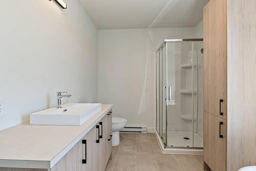 Bathroom - Rue Siméon-Drolet, Québec (Les Rivières), QC - Indoor Photo Showing Bathroom