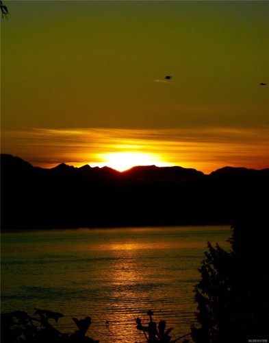 3 2Nd St, Sointula, BC 