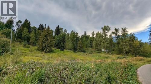 2107 Highway 3 S, Fernie, BC 