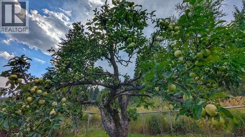 2107 Highway 3 S, Fernie, BC 