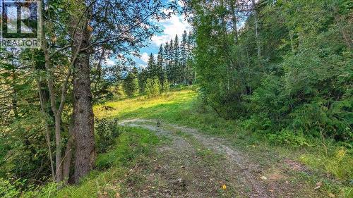 2107 Highway 3 S, Fernie, BC 