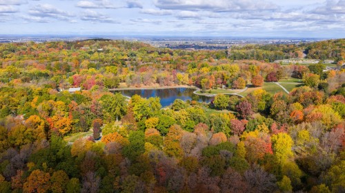 Photo aérienne - A34-3982 Ch. De La Côte-Des-Neiges, Montréal (Ville-Marie), QC - Outdoor With View