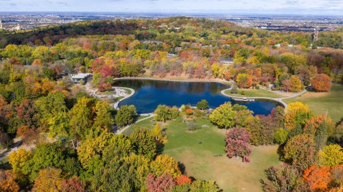 Photo aérienne - A34-3982 Ch. De La Côte-Des-Neiges, Montréal (Ville-Marie), QC - Outdoor With View