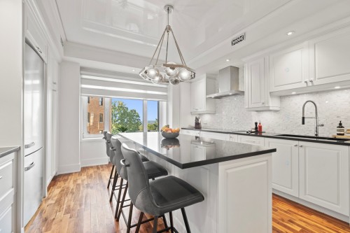 Cuisine - A34-3982 Ch. De La Côte-Des-Neiges, Montréal (Ville-Marie), QC - Indoor Photo Showing Kitchen With Upgraded Kitchen