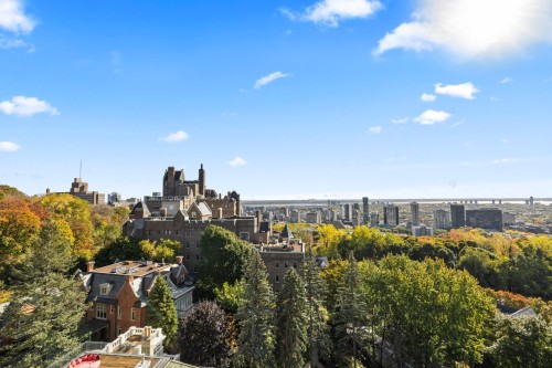 Extérieur - A34-3982 Ch. De La Côte-Des-Neiges, Montréal (Ville-Marie), QC - Outdoor With View