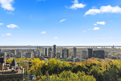 Extérieur - A34-3982 Ch. De La Côte-Des-Neiges, Montréal (Ville-Marie), QC - Outdoor With View