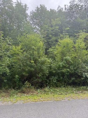 1 Mill Street, Mulgrave, NS 