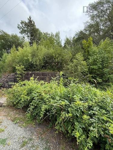 1 Mill Street, Mulgrave, NS 