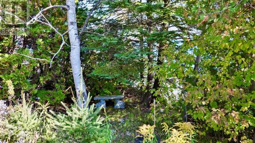 248 Isthmus Bay Road, Northern Bruce Peninsula, ON - Outdoor
