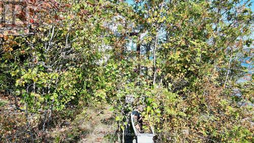 248 Isthmus Bay Road, Northern Bruce Peninsula, ON - Outdoor