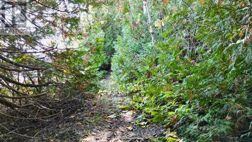 248 Isthmus Bay Road, Northern Bruce Peninsula, ON - Outdoor