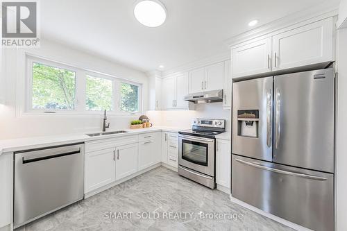 158 Park Avenue, Newmarket, ON - Indoor Photo Showing Kitchen With Stainless Steel Kitchen With Upgraded Kitchen