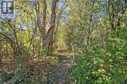 568 Black Street, Fergus, ON - Outdoor