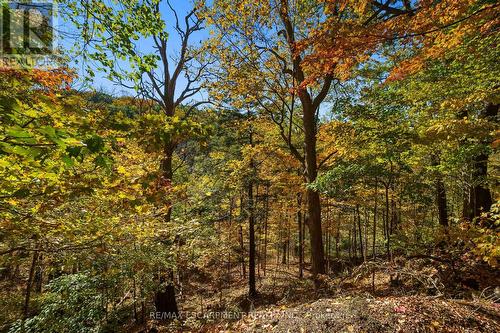 75 Terrace Drive, Hamilton, ON - Outdoor With View