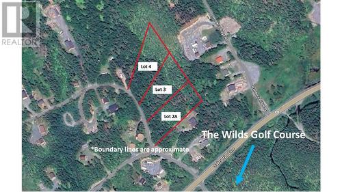 Lot 4 Fraser Sub-Division, Forest Field Area /Salmonier Line, NL 
