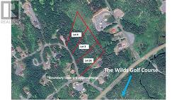 Lot 4 Fraser Sub-Division  Forest Field Area /Salmonier Line, NL A0A 2R0