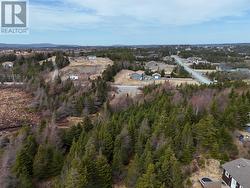 100-102 Cabot Ave Extension  Whitbourne, NL A0B 3K0