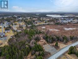 100-102 Cabot Ave Extension  Whitbourne, NL A0B 3K0