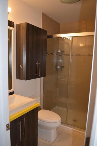 Bathroom - 302-16647 Boul. Pierrefonds, Montréal (L'Île-Bizard/Sainte-Geneviève), QC - Indoor Photo Showing Bathroom