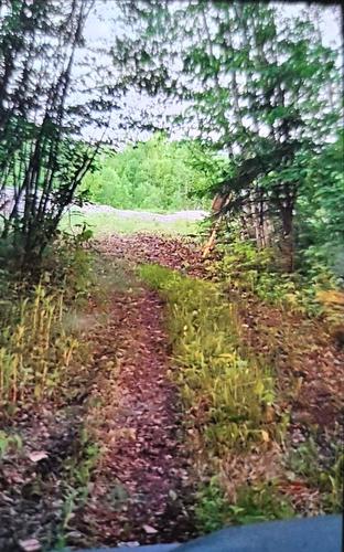 Terre/Terrain - Route 101, Saint-Édouard-De-Fabre, QC 