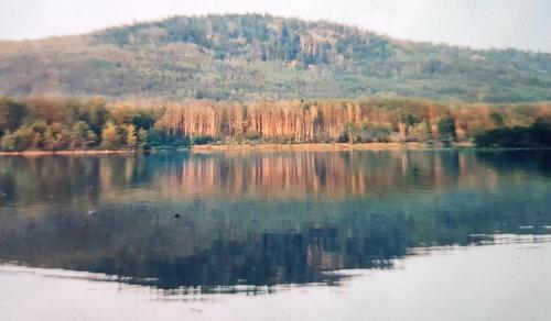 Terre/Terrain - Route 101, Saint-Édouard-De-Fabre, QC 