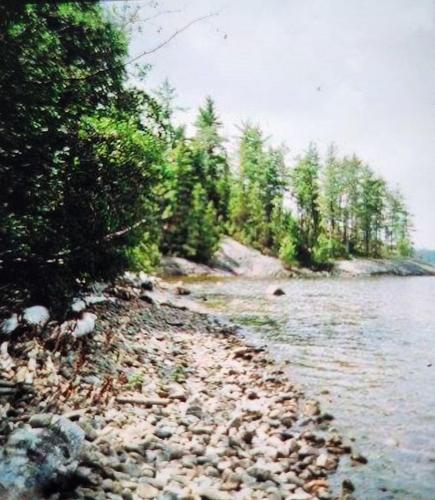 Terre/Terrain - Route 101, Saint-Édouard-De-Fabre, QC 