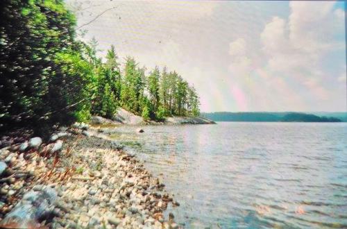 Terre/Terrain - Route 101, Saint-Édouard-De-Fabre, QC 