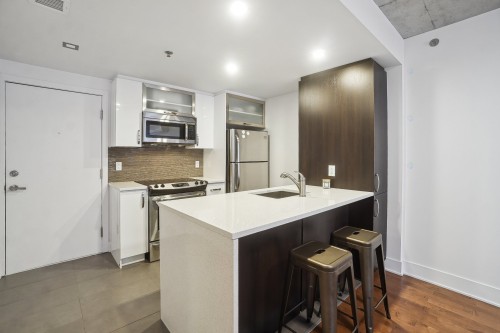 Cuisine - 512-1450 Rue Parthenais, Montréal (Ville-Marie), QC - Indoor Photo Showing Kitchen With Upgraded Kitchen