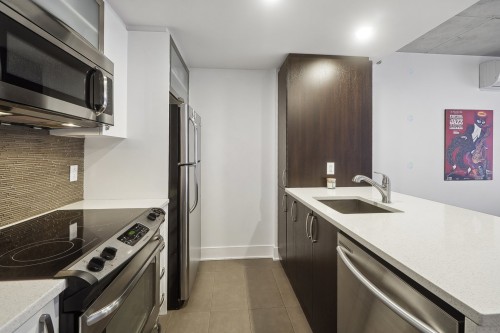 Cuisine - 512-1450 Rue Parthenais, Montréal (Ville-Marie), QC - Indoor Photo Showing Kitchen