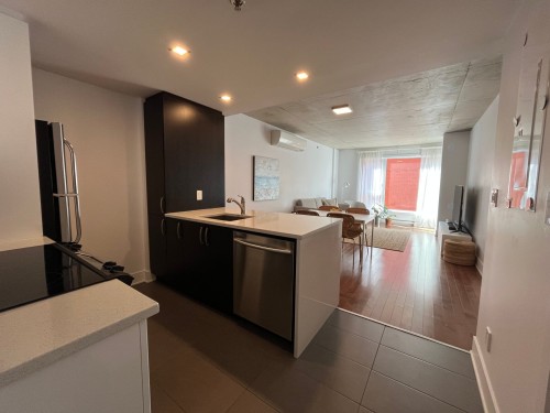 Vue d'ensemble - 512-1450 Rue Parthenais, Montréal (Ville-Marie), QC - Indoor Photo Showing Kitchen