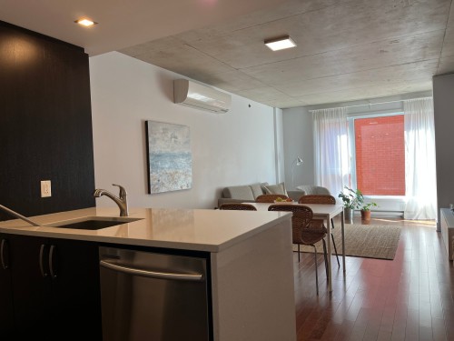 Vue d'ensemble - 512-1450 Rue Parthenais, Montréal (Ville-Marie), QC - Indoor Photo Showing Kitchen