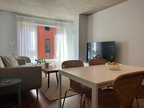 Vue d'ensemble - 512-1450 Rue Parthenais, Montréal (Ville-Marie), QC - Indoor