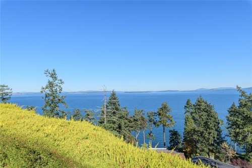 4727 Treetop Hts, Saanich, BC 