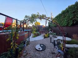 Backyard - 