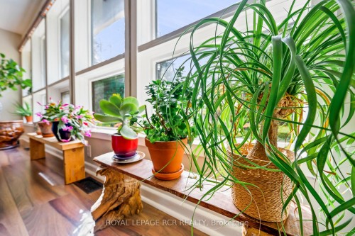 19619 Main Street, Caledon, ON - Indoor Photo Showing Other Room