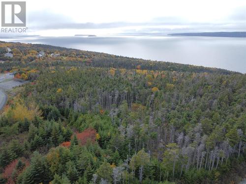 20 Goat Cove Lane, Portugal Cove-St. Philips, NL - Outdoor With View