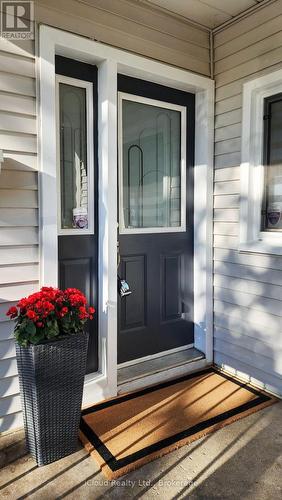 294 Fairfield Avenue, Hamilton, ON - Outdoor With Deck Patio Veranda With Exterior