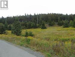 0 Southside Lance Cove Road  Bell Island, NL A0A 4H0