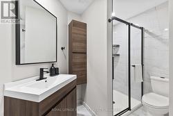 Lower level bathroom - 
