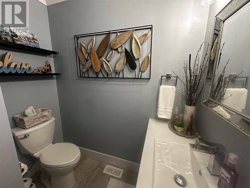 15 Ivany'S Road, Grand Falls-Windsor, NL - Indoor Photo Showing Bathroom